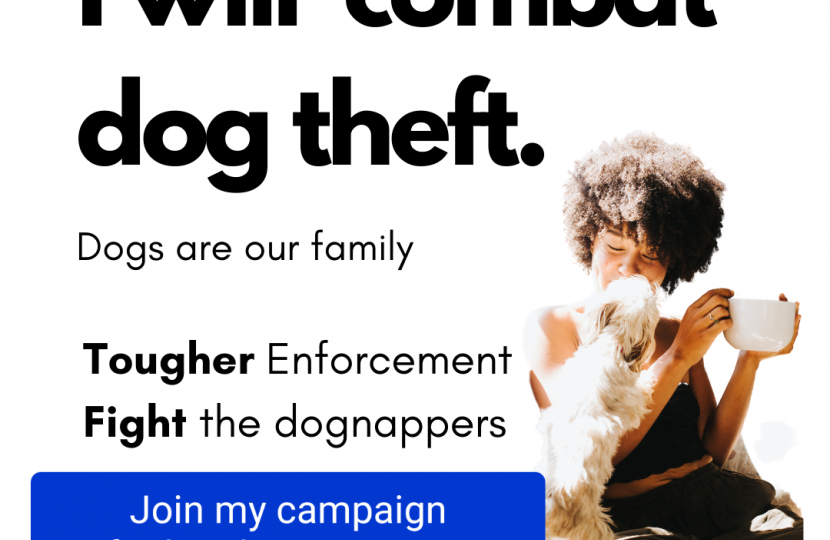 My pet theft campaign