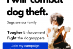 My pet theft campaign